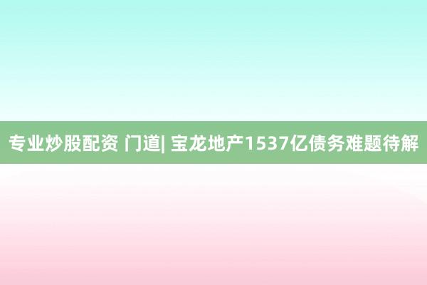 专业炒股配资 门道| 宝龙地产1537亿债务难题待解