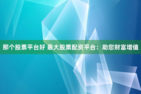 那个股票平台好 最大股票配资平台：助您财富增值