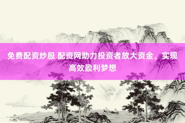 免费配资炒股 配资网助力投资者放大资金，实现高效盈利梦想