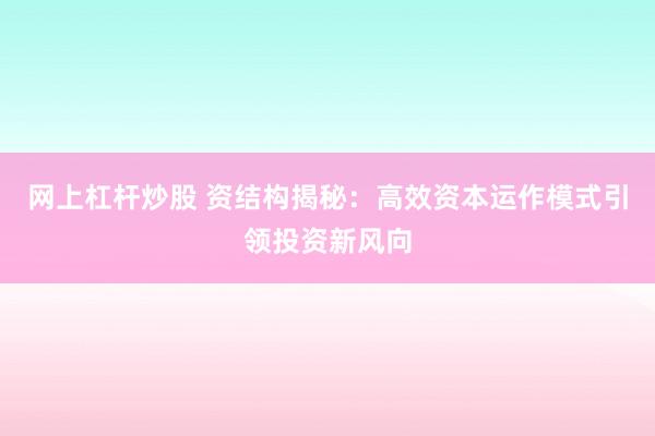 网上杠杆炒股 资结构揭秘：高效资本运作模式引领投资新风向