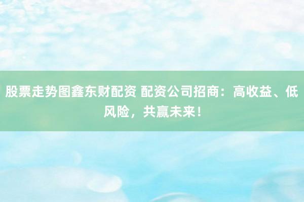 股票走势图鑫东财配资 配资公司招商：高收益、低风险，共赢未来！