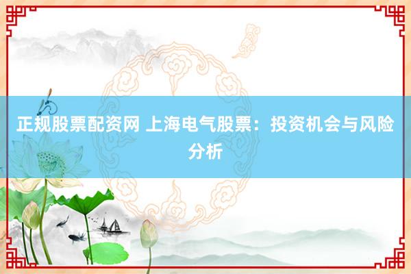 正规股票配资网 上海电气股票:投资机会与风险分析