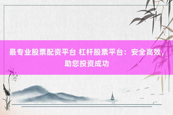 最专业股票配资平台 杠杆股票平台:安全高效,助您投资成功