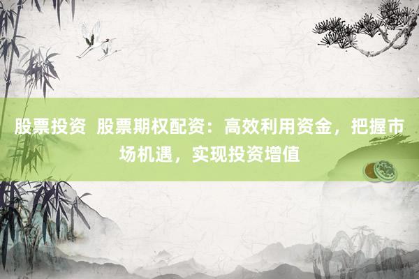股票投资  股票期权配资：高效利用资金，把握市场机遇，实现投资增值