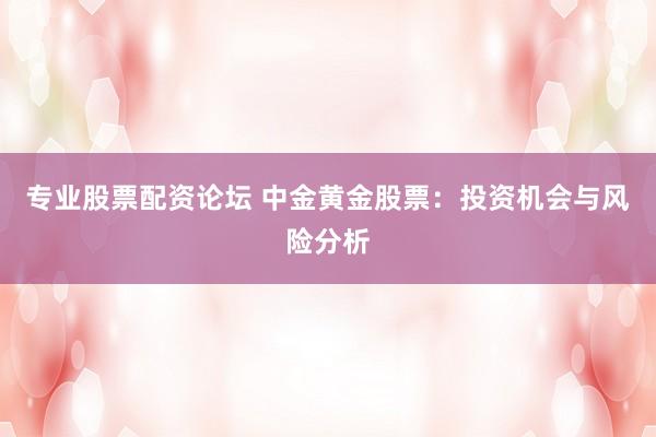 专业股票配资论坛 中金黄金股票:投资机会与风险分析